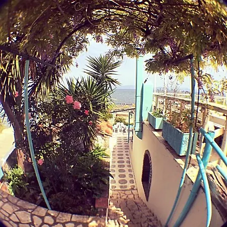 Hotell Benitsa *