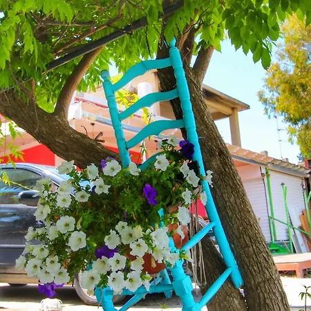 Benitsa Hotel *